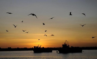 Les ministres de la pêche de l'UE ont bouclé mardi, dans un délai record, un accord sur les quotas de capture pour 2014, salué par la Commission européenne et jugé "satisfaisant et équilibré" par la partie française