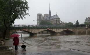 Une personne promène son chien au bord de la Seine à Paris le 31 mai 2016