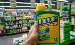 Un bidon de Roundup de Monsanto dans une jardinerie à Lille, le 15 juin 2015