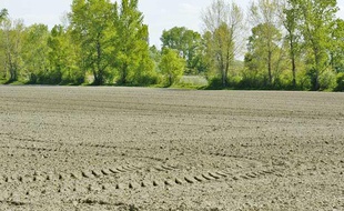 Sur les exploitations agricoles du Rhône, l'eau commence à manquer en ce mois d'avril 2011