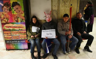 Des manifestants expriment leur colère contre la classe politique roumaine, le 7 novembre 2015 à Bucarest