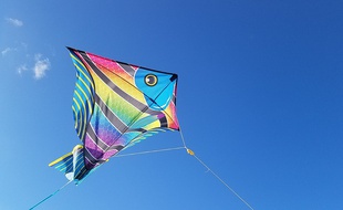 Un cerf-volant poisson éclaire un ciel tout bleu