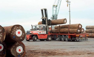 Arbres protégés coupés dans les forêts tropicales pour fabriquer meubles ou parquets: les importations de bois illégal persistent en France, même si elles régressent sous la pression des organisations écologistes et sous l'effet des changements dans l'industrie du bois.