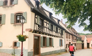 De jolis villages alsaciens vous attendent sur cette boucle dans le vignoble de la Couronne d'Or.