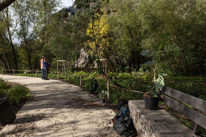 La carrière Misery, qui avait ouvert en 2019 un espace vert avec une cascade, accueille une nouvelle aile encore plus végétalisée.