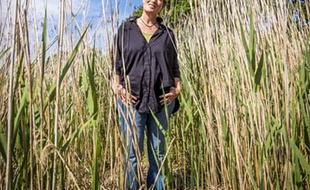 Anne Quéméré