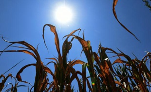 Les dix premiers mois de l'année 2015 ont été les plus chauds jamais enregistrés, a annoncé mercredi l'Agence américaine océanique et atmosphérique (NOAA)