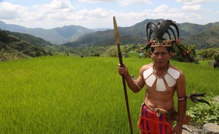Mario Lachaona, riziculteur philippin en tenue traditionnelle Ifugao, le 28 avril 2015 à Mayoyao, dans le nord du pays