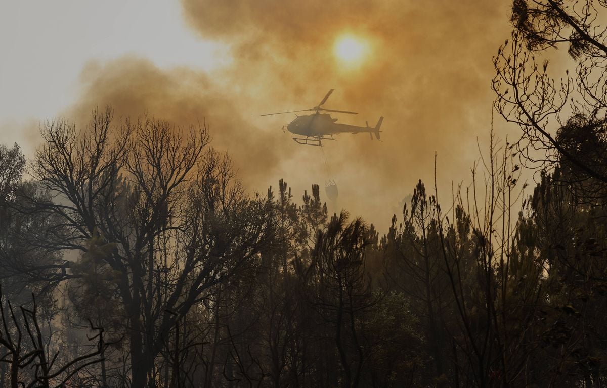 Incendies en Espagne : Un troisième décès annoncé par les autorités