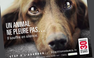 Une affiche de la nouvelle campagne de l'association 30 Millions d'Amis.