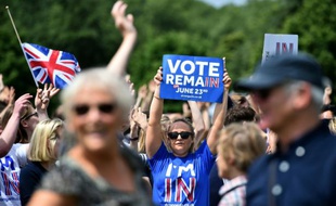 Des partisans pour le maintien de la Grande-Bretagne dans l'UE, en campagne le 19 juin 2016 à Londres