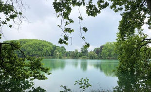 Le lac du parc de la Tête d'Or à Lyon, le 4 juin 2020.