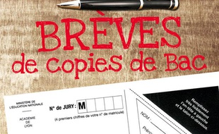 Capture d'écran Brèves de copies du bac.