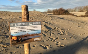Calais, le 11 janvier 2017. Trois mois aprs le demantelement du camp de refugies de la jungle, les associations ont constate un retour au compte-goutte de migrants.