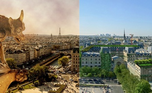 Montage Photo 20 Minutes.