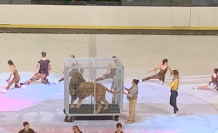 Un spectacle qui devait se produire avec un lion en cage sur la patinoire de Bordeaux a retiré l'animal