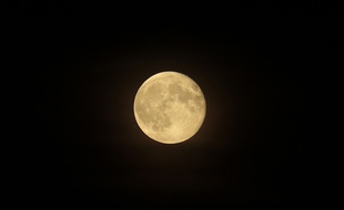 De l'eau serait bien présente à la surface de la Lune (illustration).