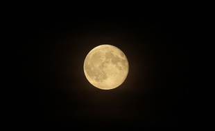 Illustration d'une nuit de pleine lune.