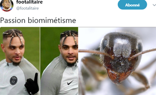 Les internautes se lâchent après avoir vu la nouvelle coupe de Layvin Kurzawa.