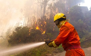 Plus de 500 pompiers tentaient samedi matin de venir à bout de plusieurs feux de forêt dans le nord et le centre du Portugal, ainsi que sur l'île de Madère où un hôpital a dû être évacué préventivement, selon un bilan des services de la protection civile.