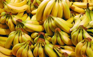 Bananes, illustration.