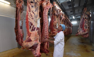 Deux ans après la diffusion d'images violentes dans un abattoir de Mauléon, les informations à l'égard des consommateurs restent insuffisantes.
