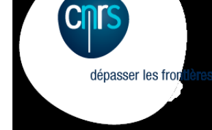 Logo du CNRS.
