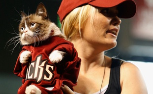 Grumpy Cat et sa maîtresse en Arizona le 7 septembre 2015.