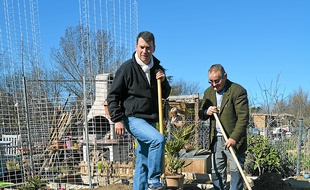 Pour environ 114 par an, la mairie loue 150 parcelles potagères.