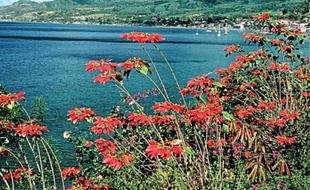 La baie de Saint-Pierre offre une sublime vue sur la montagne Pelée.
