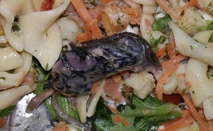 Ce client a découvert une souris morte dans sa salade