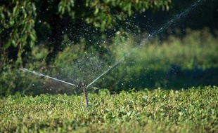 Conséquence de la sécheresse que la France connaît en 2011, l'arrosage est interdit dans plusieurs départements
