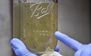 De l'eau contenant sans doute des microplastiques (illustration).