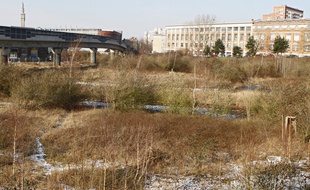 Exemple de friches environnementales.