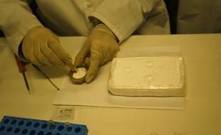 Illustration de cocaïne.