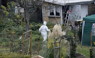 Des inspecteurs procèdent à la recherche à Luckenwalde, au sud de Berlin, d'un garçon de 6 ans, Elias, disparu en juillet, le 30 octobre 2015