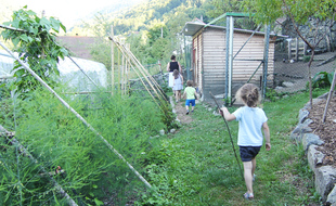 Illustration d'enfants marchant au milieu d'un potager.