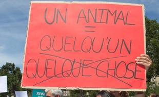 Illustration d'une manifestation pour le respect des animaux.