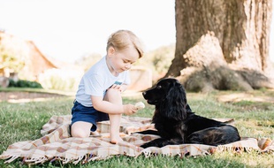 Le prince George et son chien Lupo, mi juillet, dans sa résidence du Norfolk (Angleterre).