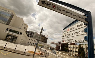 Le Centre Hospitalier (CHU) de Lille (illustration).