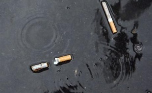 Les livraisons de tabac aux buralistes français ont fortement chuté, de 10%, en mars par rapport au mois correspondant de 2007, selon des chiffres d'Altadis distribution obtenus samedi par l'AFP auprès d'un cigarettier opérant dans l'Hexagone.