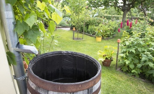 Des dispositifs simples et à la portée de tous permettent de récupérer l'eau de pluie pour l'utiliser dans le jardin.