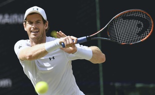 Andy Murray en 2017 à Wimbledon