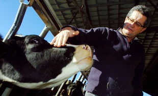 Dominique Barrau, numéro deux de la FNSEA, premier syndicat agricole du pays.