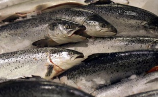 Les pays de l'UE et le Parlement européen ont trouvé un accord dans la nuit de mercredi à jeudi pour rendre la pêche communautaire plus durable en limitant progressivement les pratiques de surpêche dès 2014.