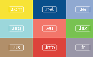 Même les politiques les plus chevronnés se font avoir avec les noms de domaines sur Internet.