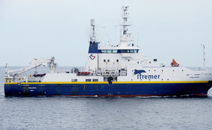 Les chercheurs de l'Ifremer ont procédé à des analyses de sédiments présents dans la rade de Brest.