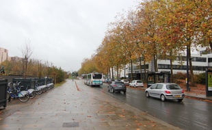 L'avenue Henri Fréville à Rennes, où un homme en fauteuil roulant a été percuté par une voiture.