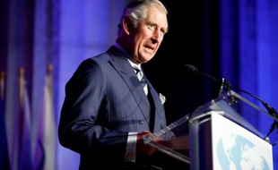 Le Prince Charles s'adresse à des élus américains à Washington, le 19 mars 2015