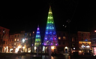 Les sapins de la place Saint-Georges.